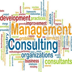 management consultant